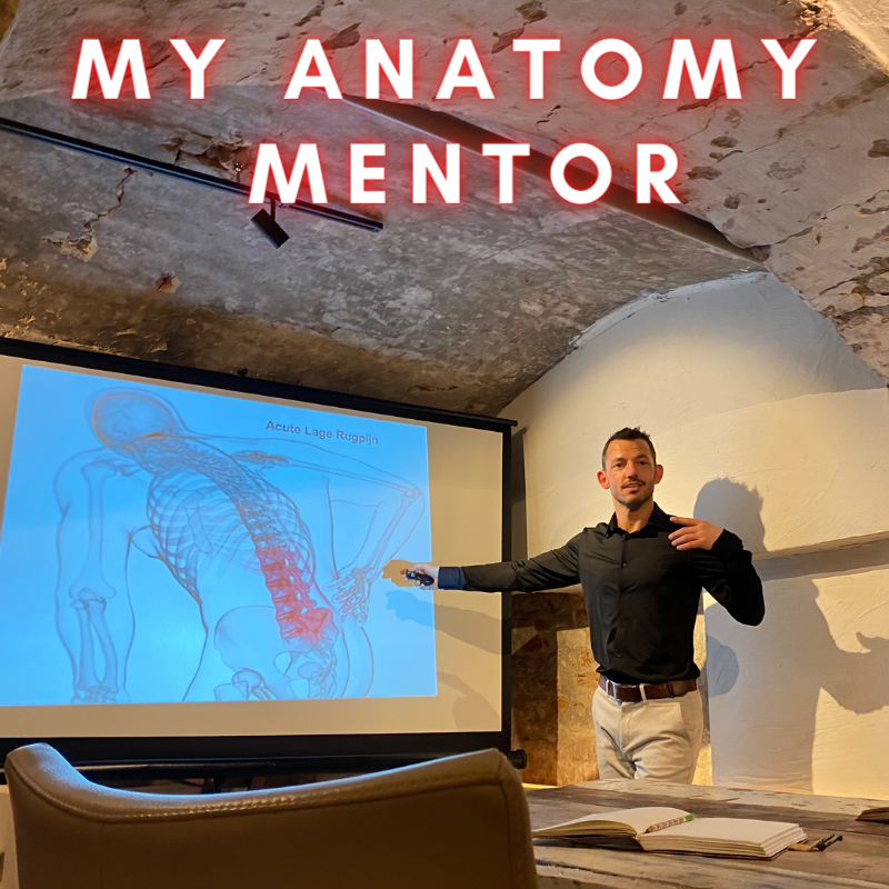my anatomy mentor trainer