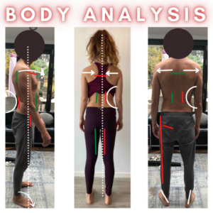 body analyse reading alignment for yoga teacher