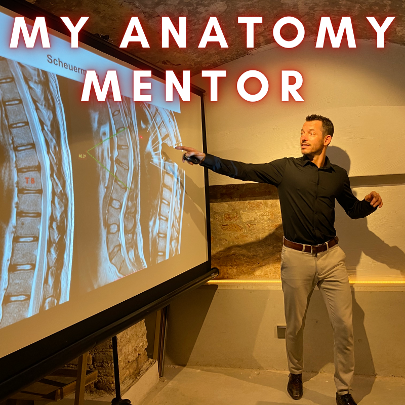 my anatomy mentor