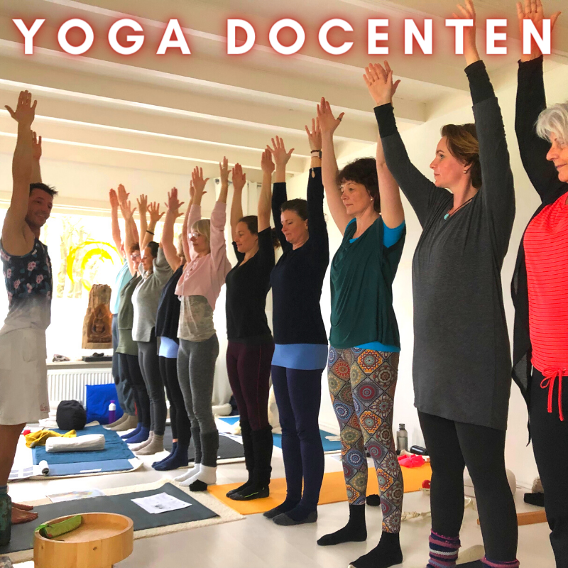 Yoga docenten en teacher training
