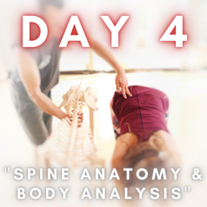 Spine anatomy & body Analysis Yoga