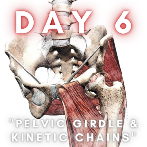 day 6, hip pelvic girdle back pain & yoga