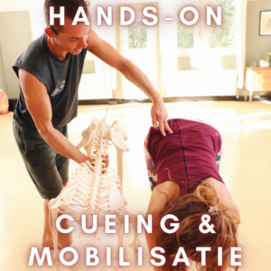 yoga hands on cueing & mobilisatie